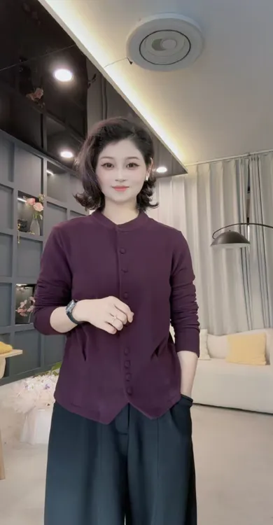 2025女士新款立领时尚休闲洋气纯色双面绒百搭开扣显瘦保暖小衫