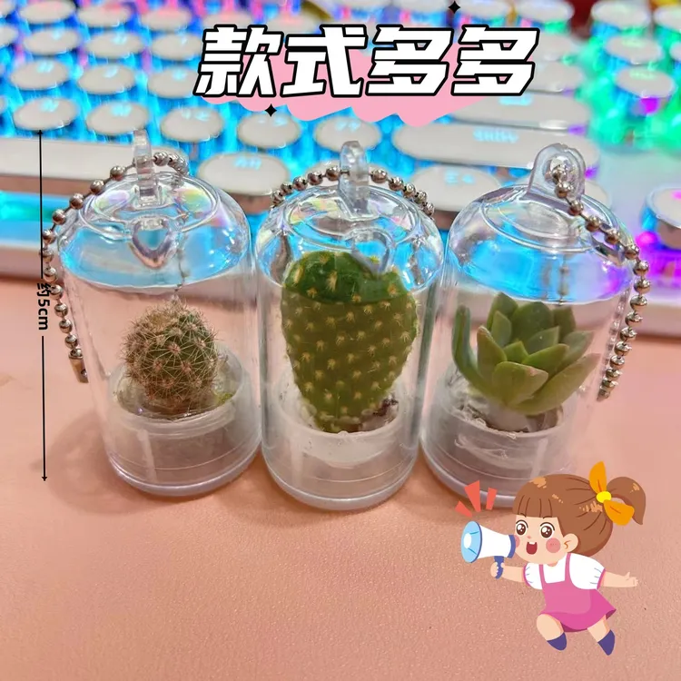 多肉小盆栽挂件创意迷你小植物钥匙扣微缩景观小礼物迷你