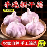【2025新干蒜】新干蒜农家直发紫皮大蒜白皮干大蒜头厨房调味品