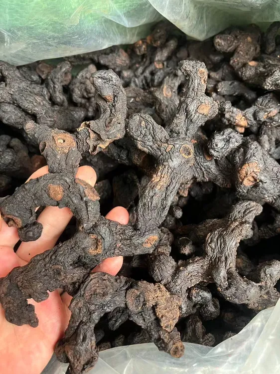 广东河源深山整条下山货8-12年多花品种九蒸九晒