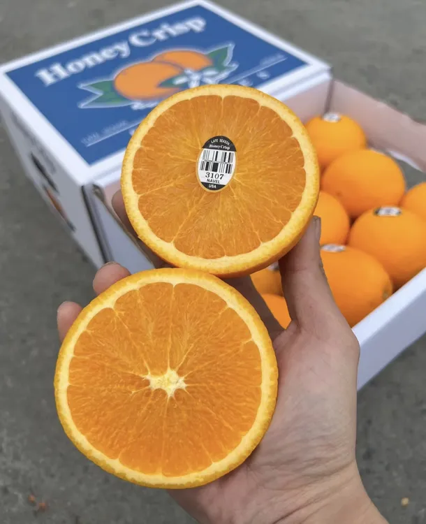 美国新奇士®️3107黑标橙 澳洲产区 正宗美国新士奇橙！橙维浓郁