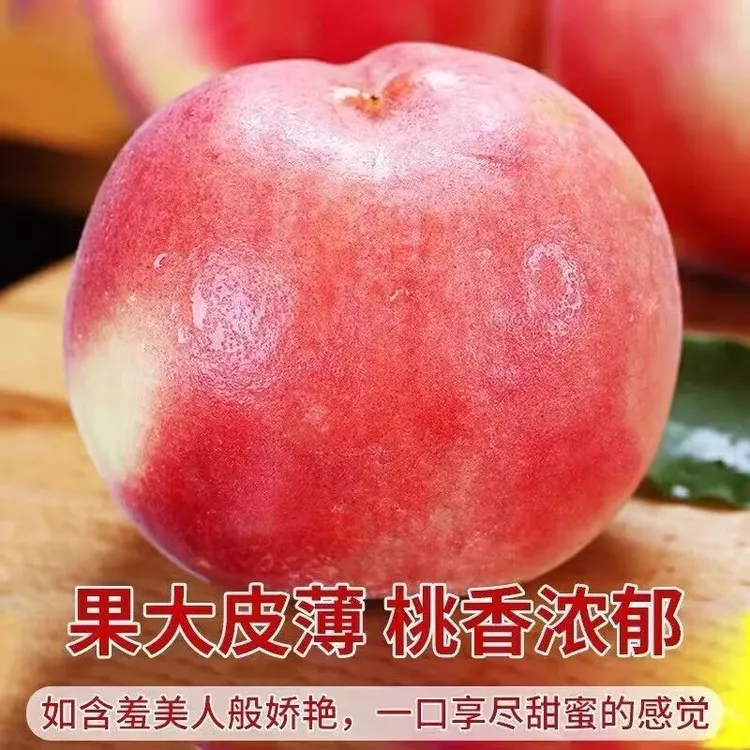 【国家地理标志农产品】北梁蜜桃—秋彤 离核脆桃 香甜多汁 桃香浓郁