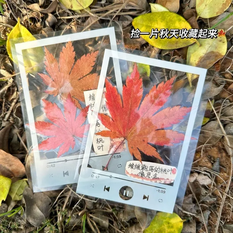 ins风透明寸拍立得卡膜卡套出卡打包压花书签相框干花塑封保护膜