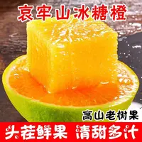 云南哀牢山青皮冰糖橙新鲜应季水果清甜多汁皮薄肉厚