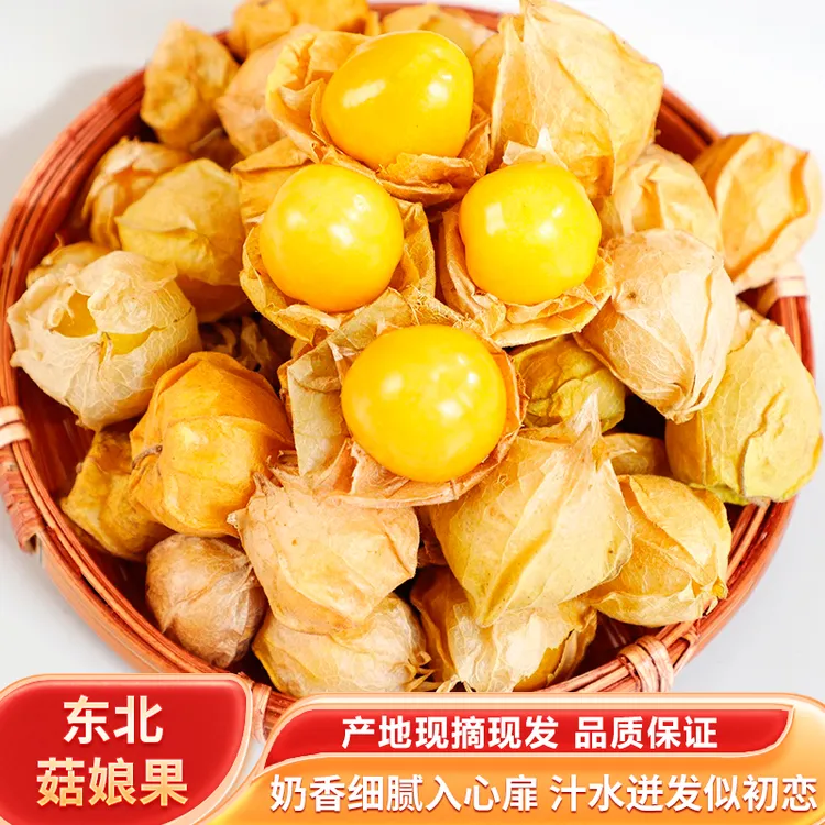 黑龙江头茬大果姑娘果新鲜美味东北灯笼果海伦共和菇娘