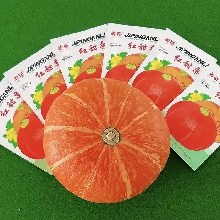 【红甜栗南瓜种子】四季种植板栗味蔬菜香甜糯南瓜种籽