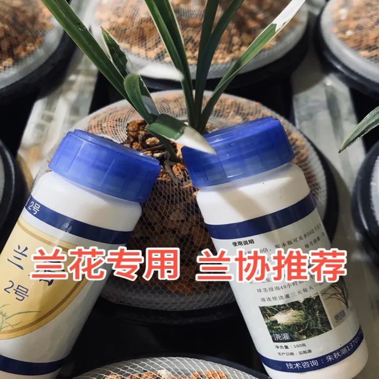 兰花封口用兰花灌根兰花涂伤口