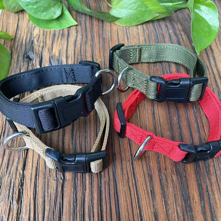 小型犬尼龙脖圈宠物犬小狗帆布项圈惠比特可调节项圈遛狗栓狗脖套