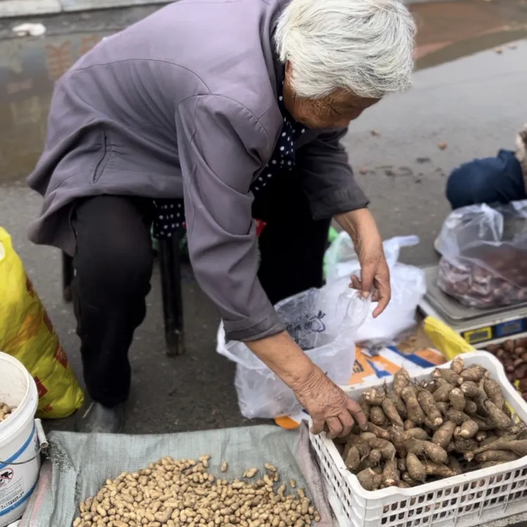【莲城甄选】助农大连农家芋头3斤(来自路边摊老人)