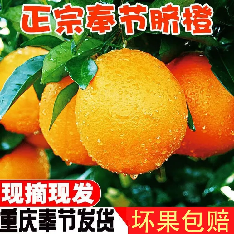 重庆奉节脐橙5斤/9斤装单果70-75mm/75-80mm/80-85mm