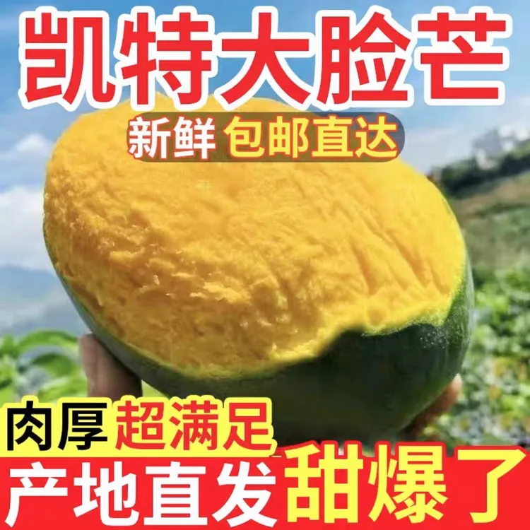 【放软在吃】云南丽江山地凯特大脸芒果鲜甜多汁产地直采发货包邮