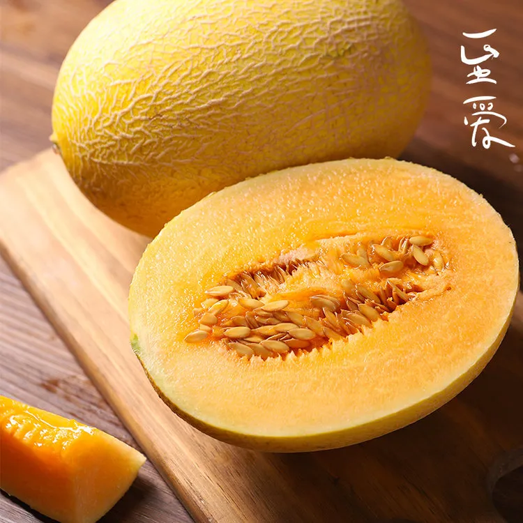 西域美农新疆至爱哈密瓜6-8斤顺丰空运当季新鲜水果高端哈密瓜
