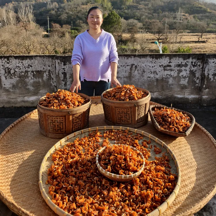 湖北特产罗田柿子干柿子片柿脯肉1斤2斤4斤包邮
