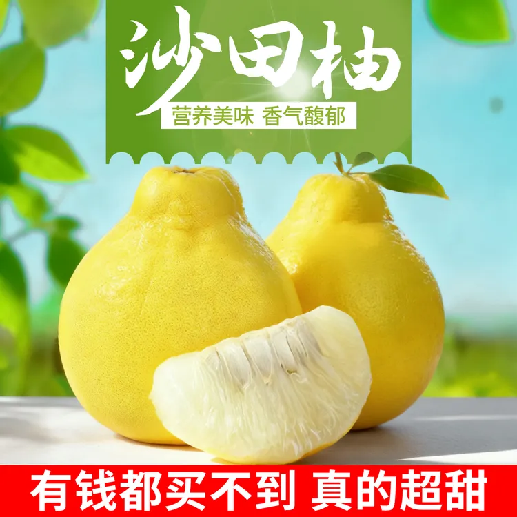 正宗梅州（沙田柚）当季应季水果孕妇水果花皮果现摘现发一件包邮