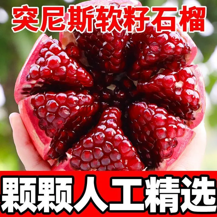 颗颗人工精选】四川会理突尼斯软籽石榴5斤 单果300g起 东三省可发