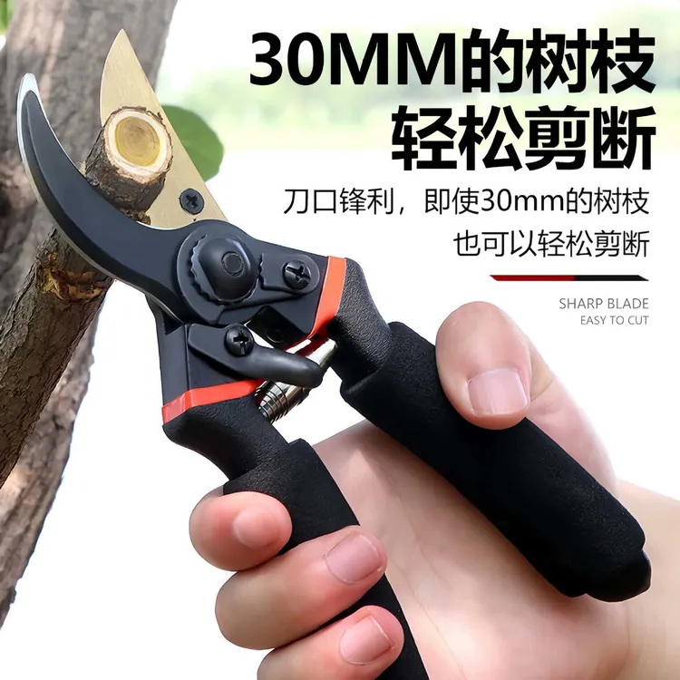 进口修剪树枝剪刀园艺修枝剪果树剪枝专用花卉花剪修树枝工具园林