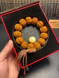 大尺寸霸王花金刚菩提：19号