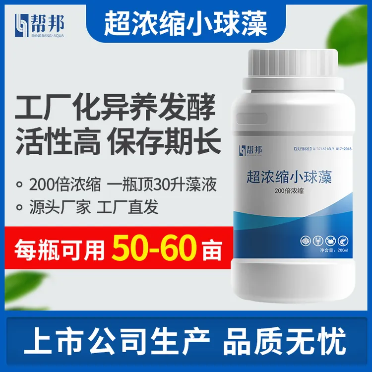 超浓缩小球藻帮邦水产鱼虾蟹养殖