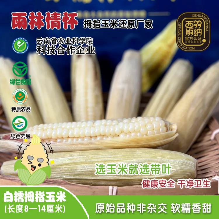 雨林情怀白糯拇指玉米棒带叶真空包装手指代餐正宗拇指手指玉米