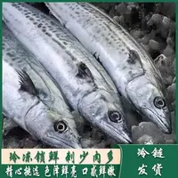 海捕速冻野生鲅鱼鲐鲅鱼4斤