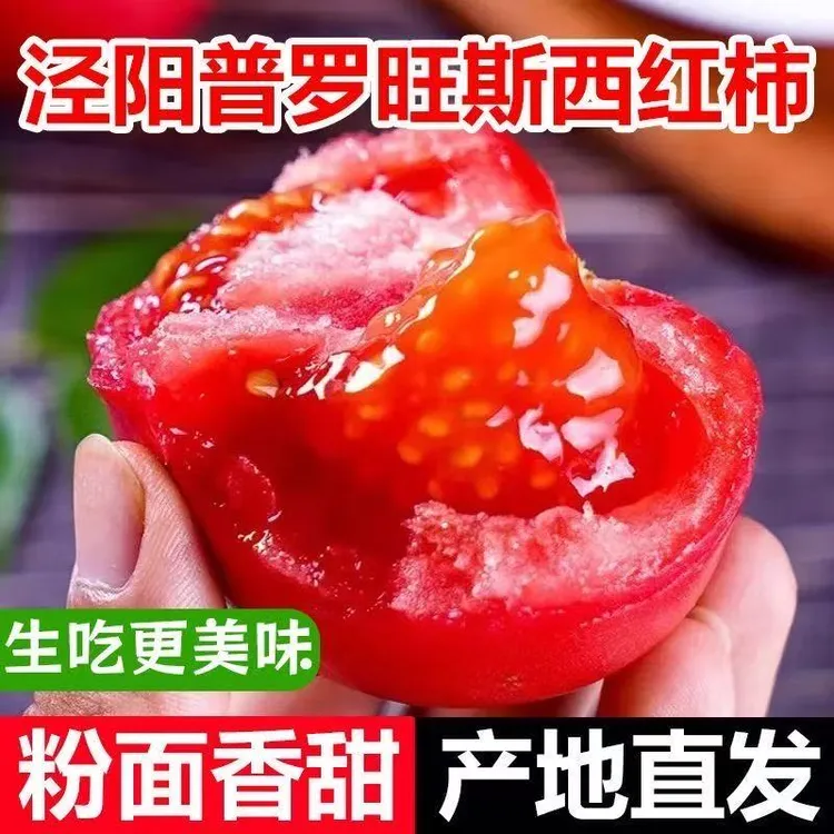 陕西泾阳普罗旺斯西红柿现摘沙瓤多汁自然成熟水果番茄