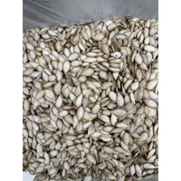 【嬢孃家的土货】农家自产干南瓜子一斤装A