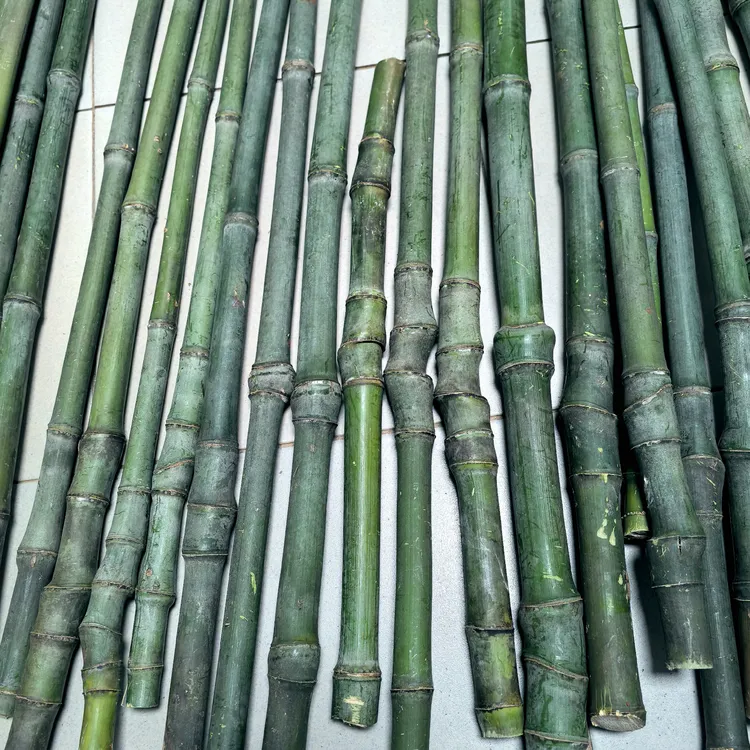 实心玉竹新鲜毛料水煮干料登山杖车载手持瑜伽棍圆扁条异形手把件