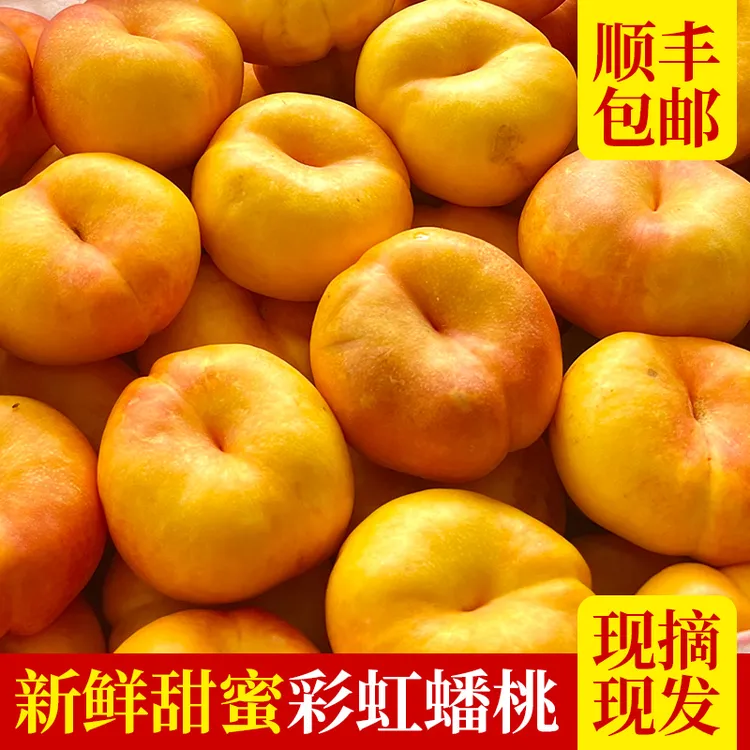 彩虹油蟠桃紫霞资金油蟠桃2-4.5斤新鲜采摘发货顺丰蒙阴