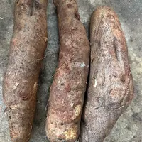 灵芝山药 云南集市果蔬综合