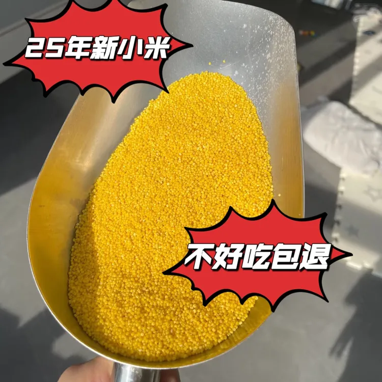 辽宁朝阳25年农村黄金苗k1新小米熬粥米油厚米味营养丰富