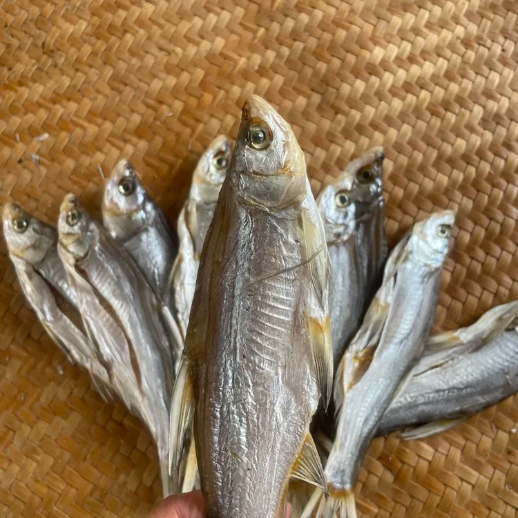 风干翘嘴鱼刁子鱼鱼干大白条鱼干货咸鱼干江西特产正宗农家山货