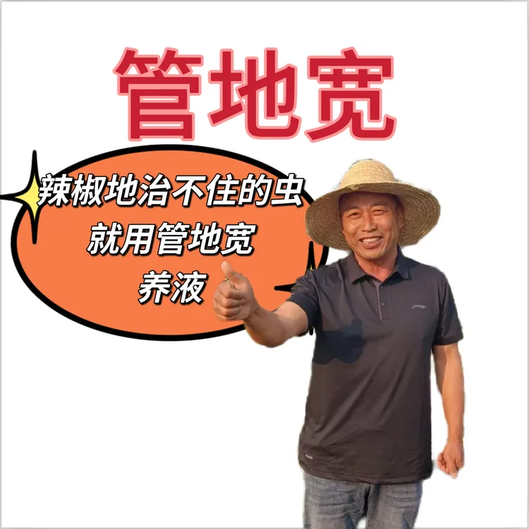 管地宽辣椒地治不住的虫就用它营养鄢陵粮鑫农业