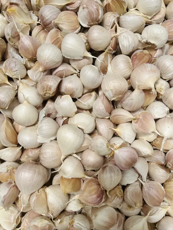 【25年大蒜瓣】苍山四六瓣大蒜蒜瓣老品种新干蒜泡蒜可做蒜种粘辣