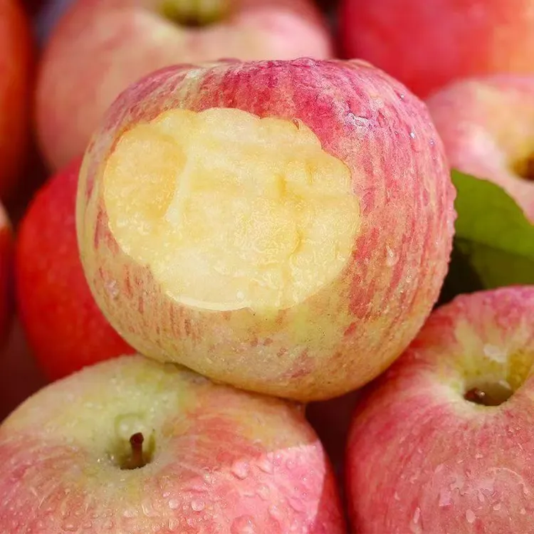 陕西红富士苹果2025年新果新鲜水果丑苹果10斤冰糖心脆甜正宗水晶
