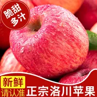 洛川正宗红富士苹果脆甜多汁冰糖心产地直发新鲜水果整箱小苹果