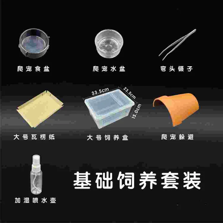 守宫饲养套装含温控加热垫爬宠饲养套装饲养盒爬宠食盆水盆