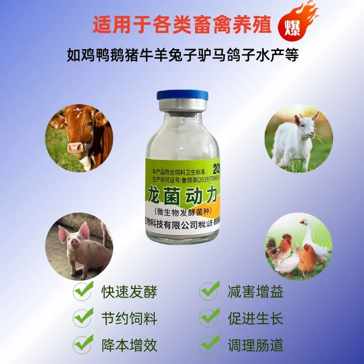 龙菌动力微生物水溶干净专用发酵菌种专为养殖研发的菌种厂家直销