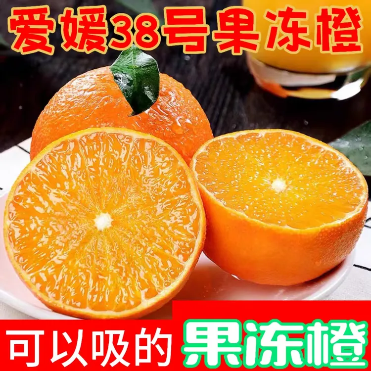 四川爱媛38号果冻橙新鲜现摘应季水果爆甜多汁无籽无渣