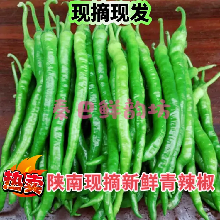 陕西现摘新鲜香辣线椒青辣椒产地直发2荆条线椒炒菜农家新鲜蔬菜