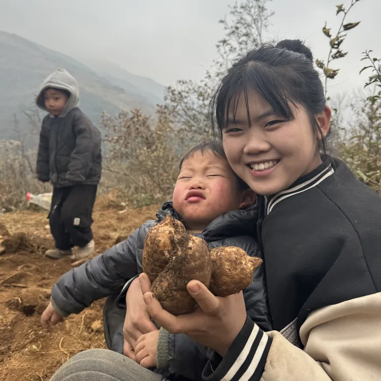 贵州赫章新鲜乌天麻林下种植深山现挖现发可煲汤泡酒