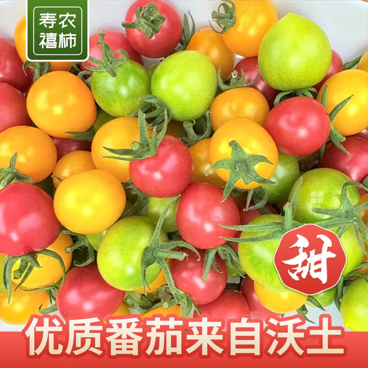 【顺丰包邮】寿光三色小番茄红黄绿三拼现摘现发自然成熟新鲜水果