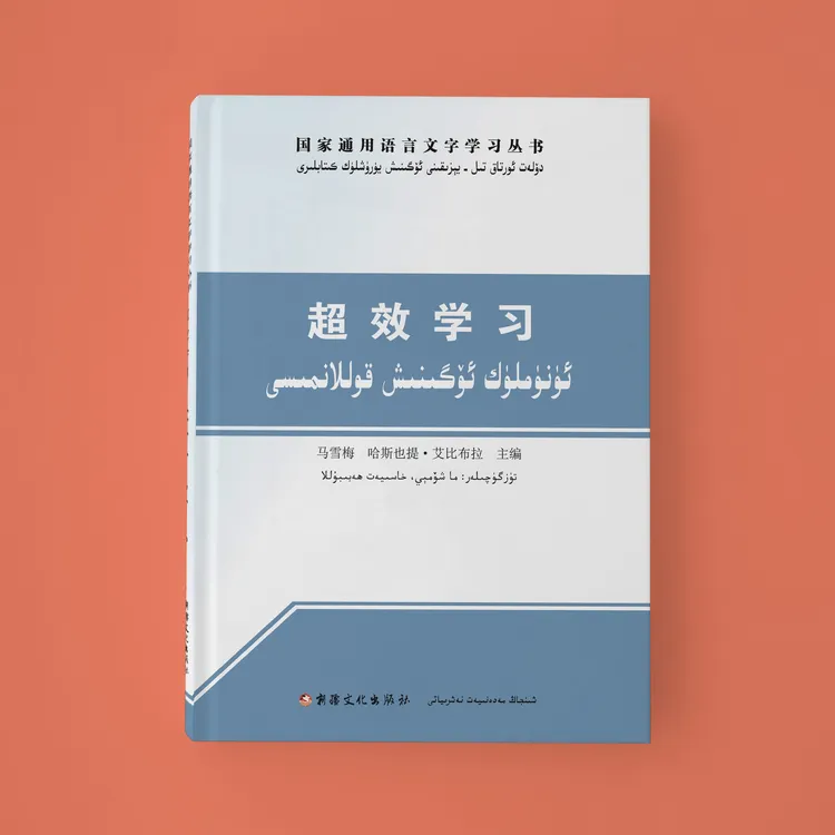 超效学习：汉维对照