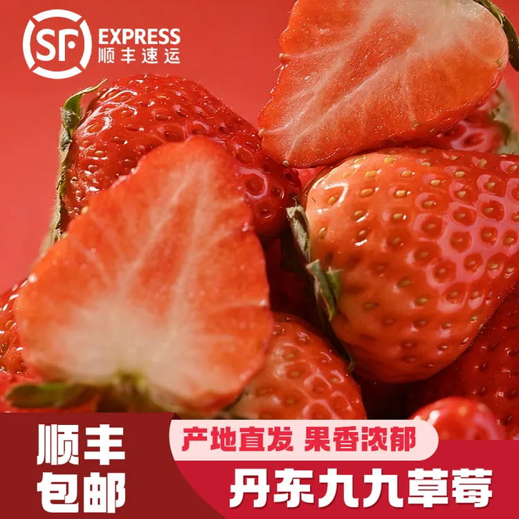 【现摘现发】丹东九九大草莓产地直发现摘特大草莓红颜草莓牛奶草莓