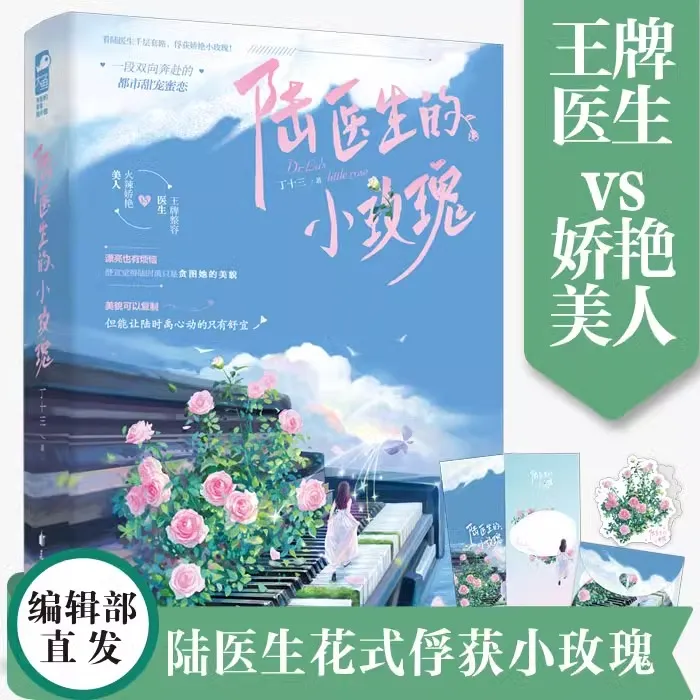 正版现货《陆医生的小玫瑰》丁十三著久别重逢破镜重圆追妻都市言情