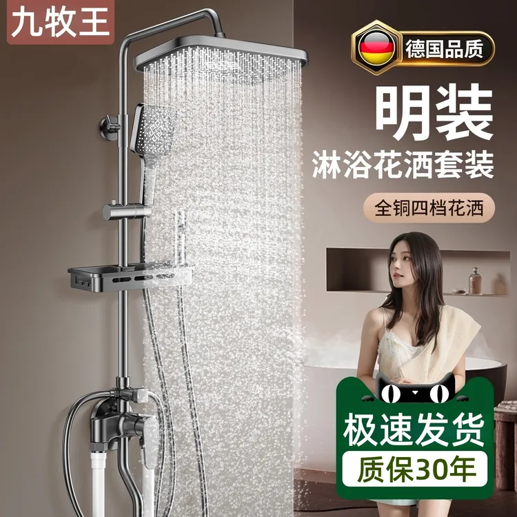 九牧王全铜明装淋浴花洒套装家用卫浴沐浴淋雨增压全套明管淋浴器