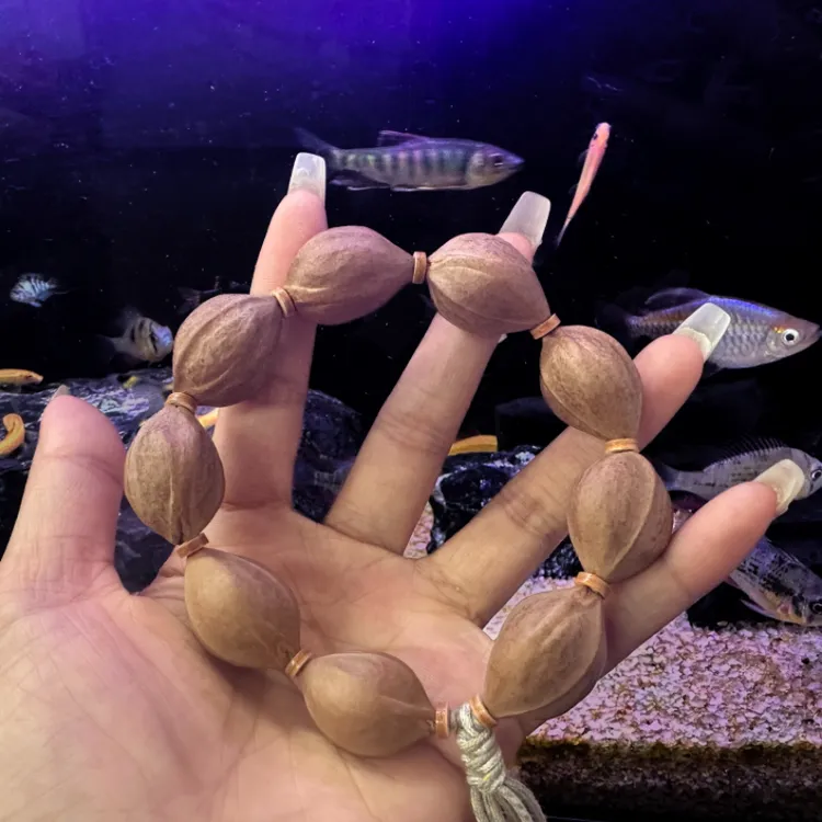 橄榄核原皮小尺寸素核无雕刻适合男士佩戴19.27MM