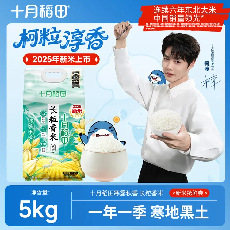 十月稻田2025新米上市寒露秋香长粒香5kg东北大米蒸饭煮真空包装