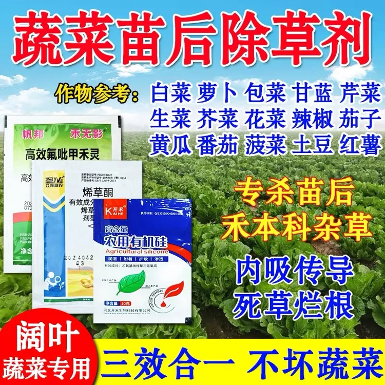 蔬菜苗后除草剂萝卜包菜甘蓝花菜地除草剂除牛筋草烂根白菜除草剂