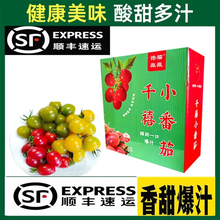 【顺丰礼盒】红黄绿三色混装新鲜现摘千禧小番茄生吃应季水果小柿子