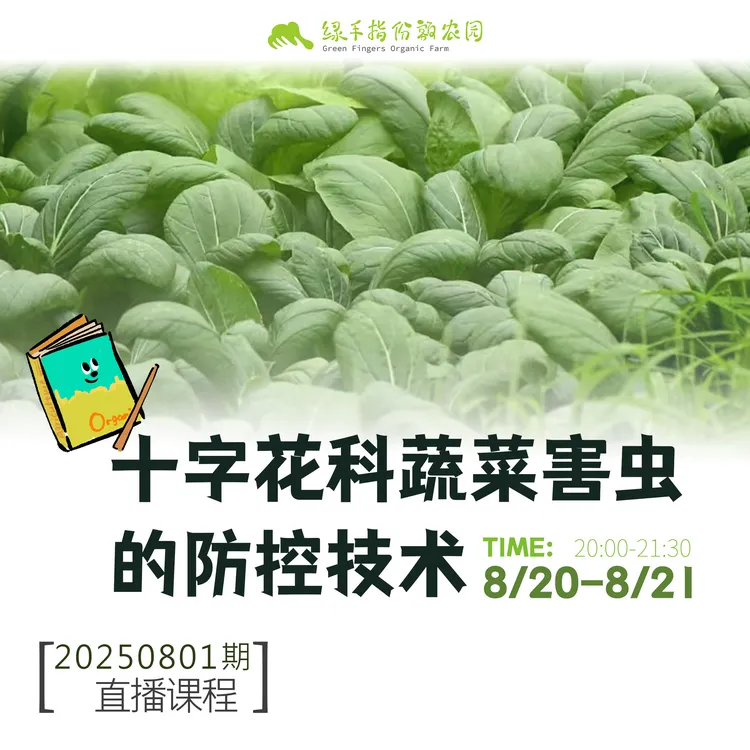 十字花科蔬菜害虫的防控技术【线上】课程